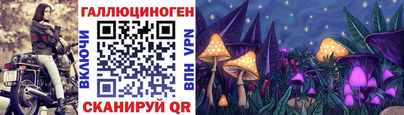 Псилоцибиновые грибы прущие грибы  закладка  Бирюсинск 