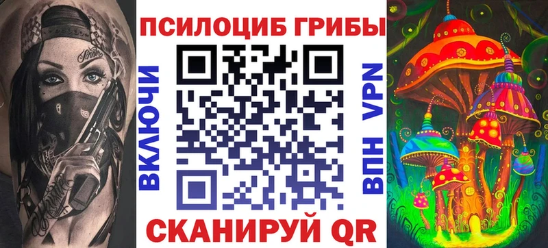 Псилоцибиновые грибы Cubensis Бирюсинск